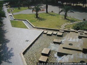 园林景观 从图片浏览到绿化养护的全面指南