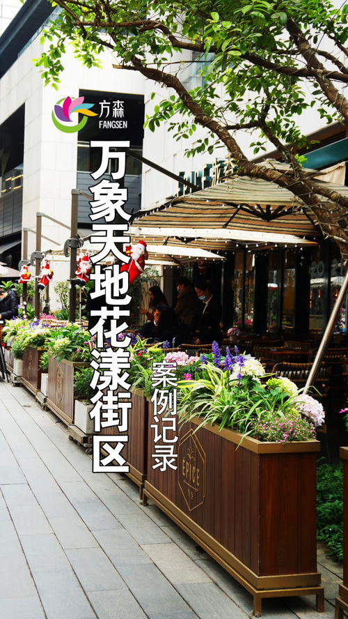 深圳南山万象天地花漾街区 园林绿化与花境设计的典范