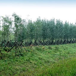 中邦园林两项工程荣膺2018年度中国园林绿化优秀施工项目及绿化养护荣誉