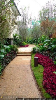 园林精品景观 从设计到养护的全方位展示与下载资源