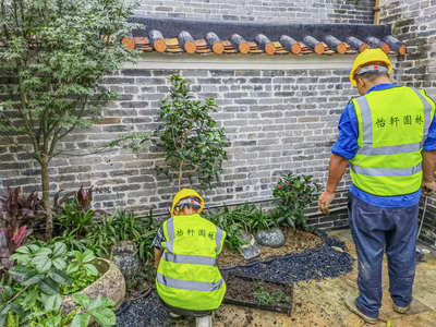 禅城岭南盛世茶舍园林绿化工程进入收尾，精细化养护开启新篇章