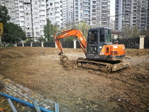 园林绿化工程施工五大核心细节 园林人的专业素养与实践指南