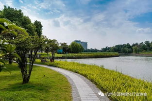 匠心筑景，绿韵迎宾——记2016年度杭州市优秀园林绿化工程道路组金奖项目 杭州萧山国际机场迎宾专用道路及环境提升工程景观绿化与养护