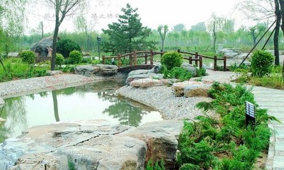 绿化一角 探秘园林绿化工程的施工艺术