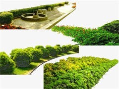 重庆园林公司 匠心独运，构筑山城绿色生态工程