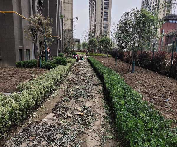 亳州绿化养护工程的实践与思考
